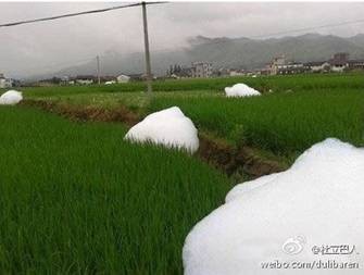 L'immagine delle incredibili bolle bianche fuoriuscite dalle risaie in Cina