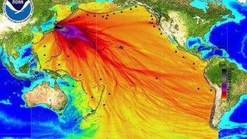 Da Fukushima 300 tonnellate al
              giorno di acqua contaminata nel Pacifico, la stima
              ufficiale