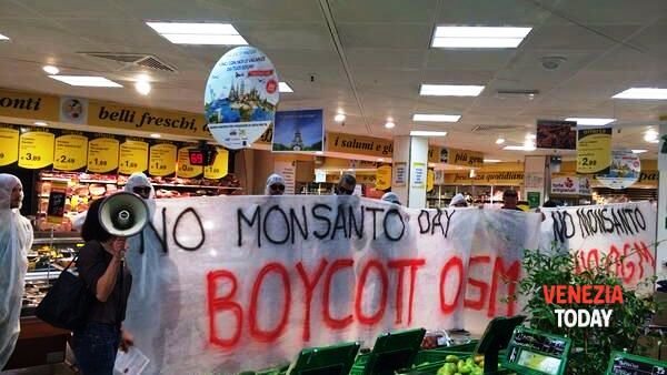 No-Monsanto